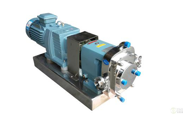 轉子泵的工作規范及注意事項